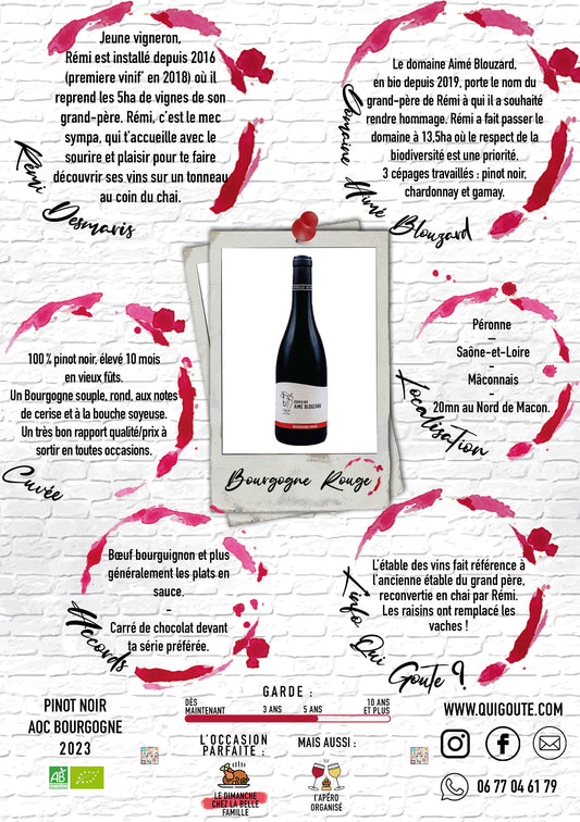Bourgogne Rouge - Rémi Desmaris