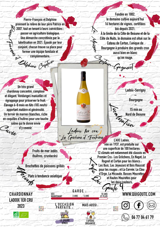 Ladoix 1er Cru "Les Gréchons et Foutrières" 2023 - Maison Capitain Gagnerot
