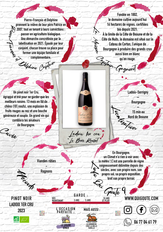 Ladoix 1er Cru "Le Bois Roussot" 2023 - Maison Capitain Gagnerot
