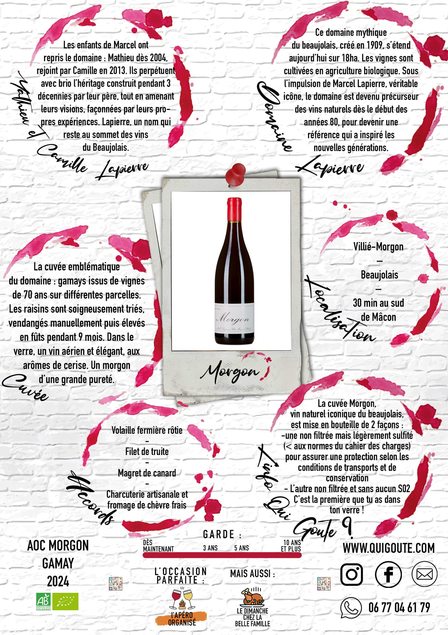 Morgon 2024 - Domaine Lapierre