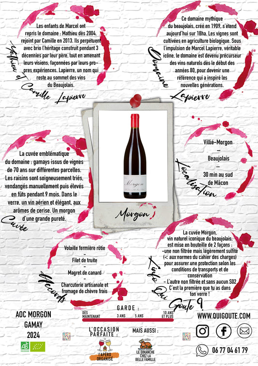 Morgon 2024 - Domaine Lapierre