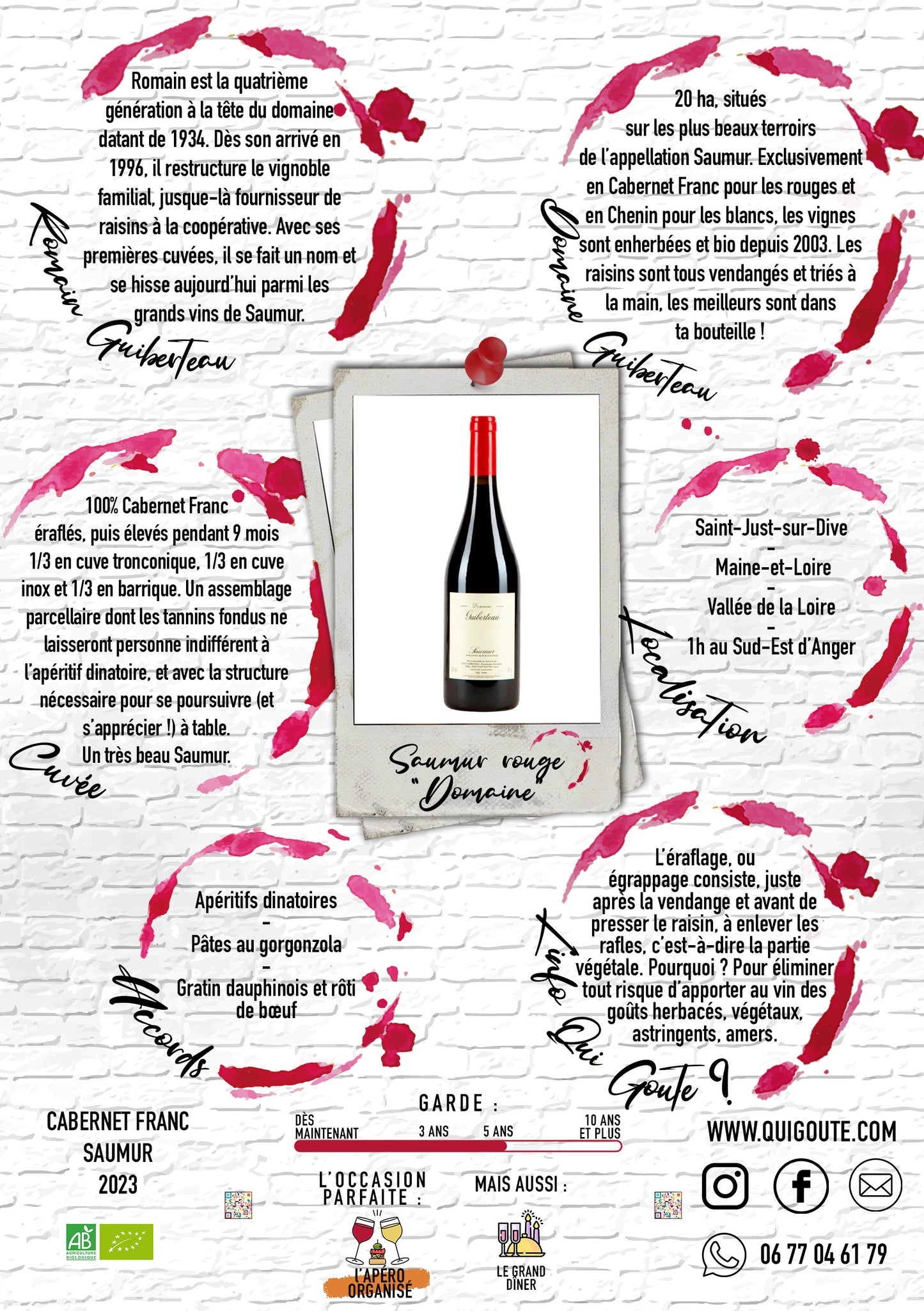 Saumur Rouge "Domaine" 2023 - Domaine Guiberteau