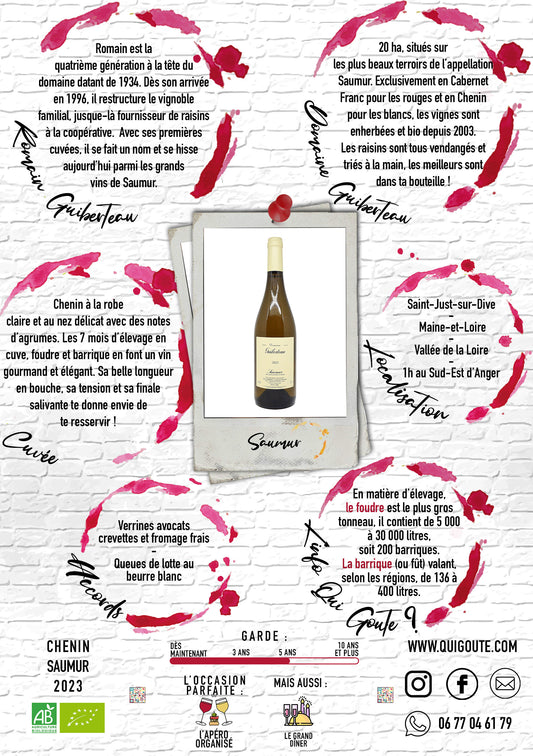 Saumur Blanc "Domaine" - Domaine Guiberteau