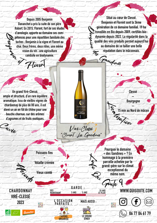 Viré-Clessé "Les Gandines" 2023 - Domaine des Gandines