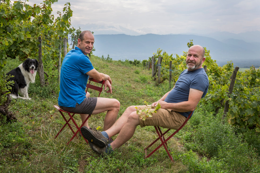 Denis & Didier Berthollier