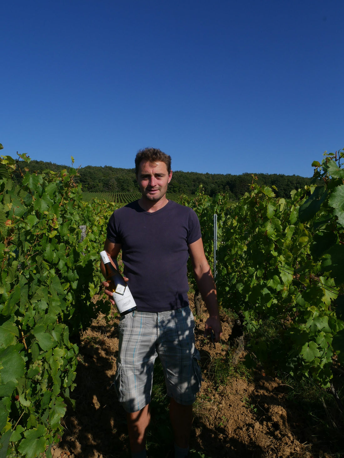 Domaine des As