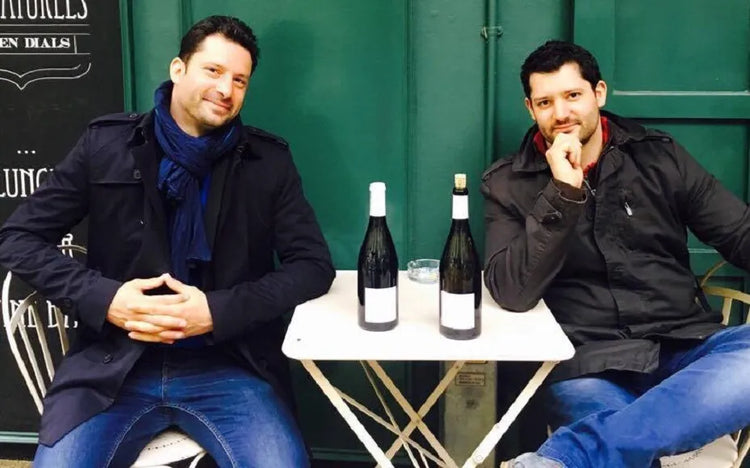 Domaine Vincent Pinard