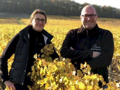 Domaine Serge Laloue