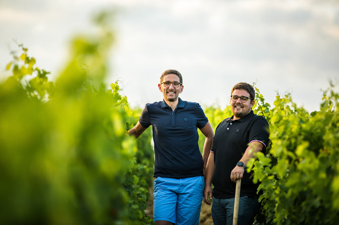 Vignobles Berthier