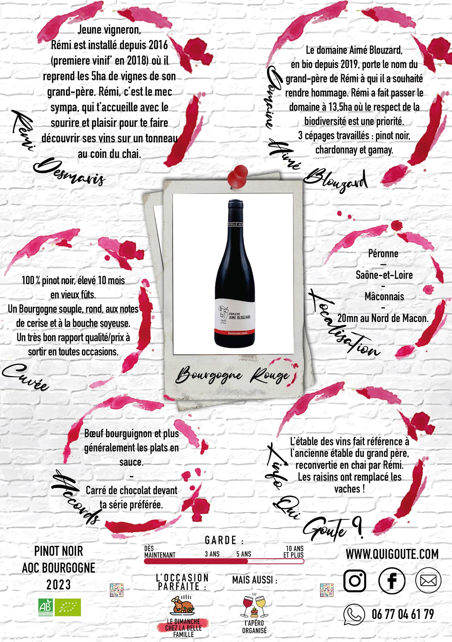 Bourgogne Rouge 2022- Rémi Desmaris