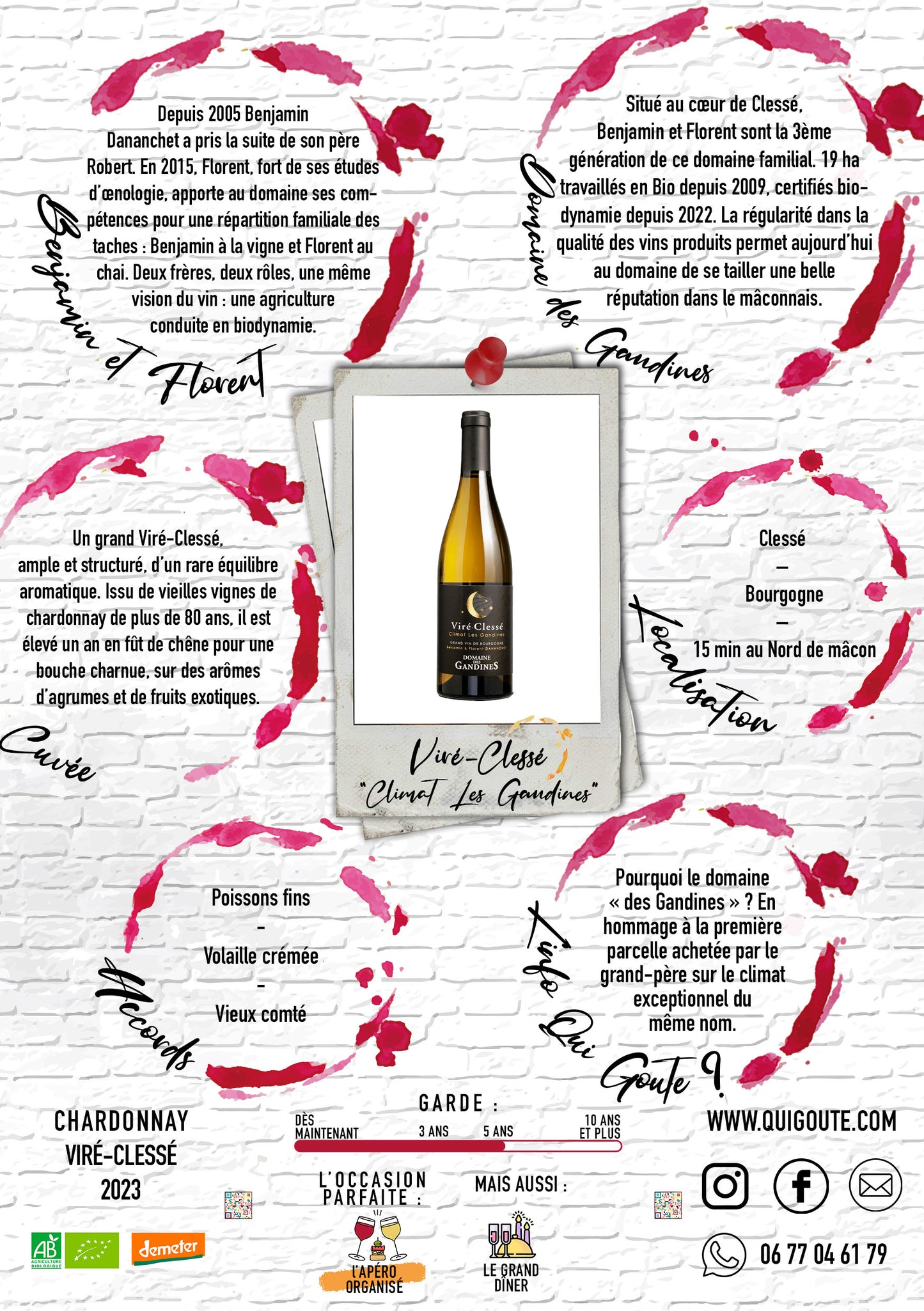 Viré-Clessé "Les Gandines" 2023 - Domaine des Gandines